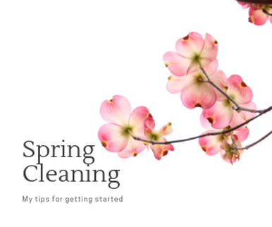 What Does Cleaning Services Winnipeg Mean?